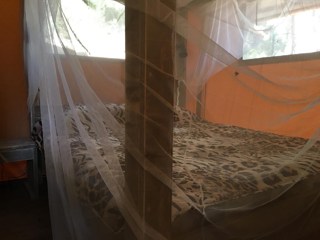 Glamping Lodge Estartit レスタルティット エクステリア 写真